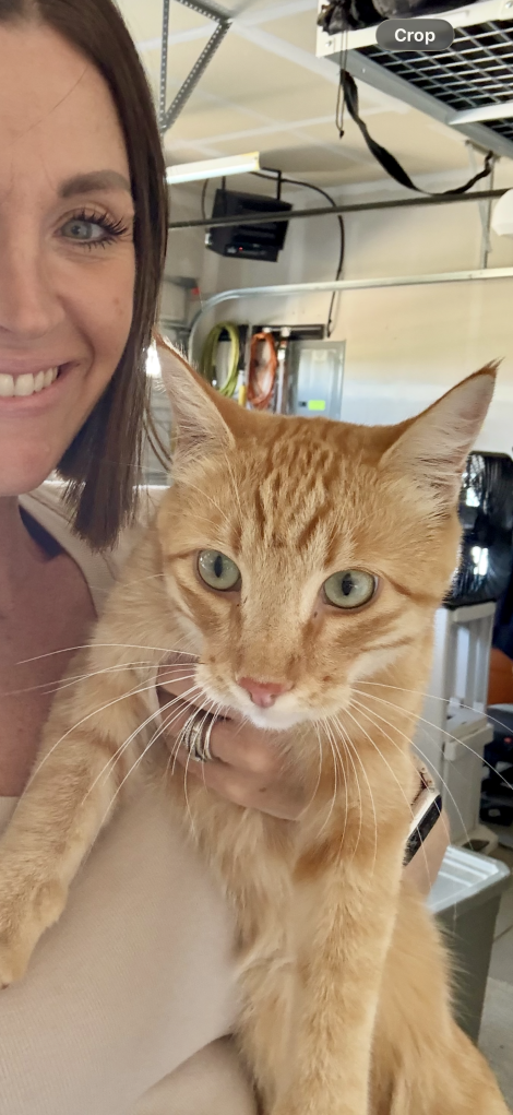 Chester 