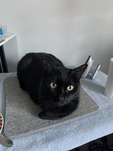Max