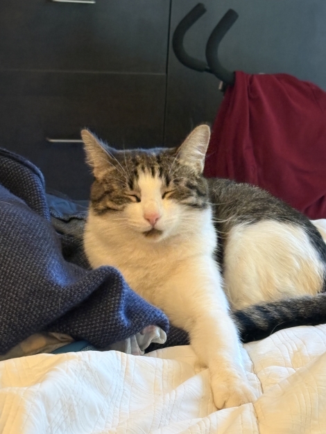 Kiki (Clancy)