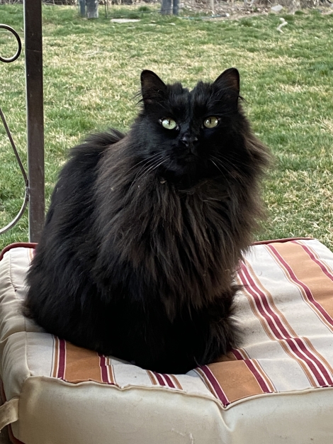 Chaco