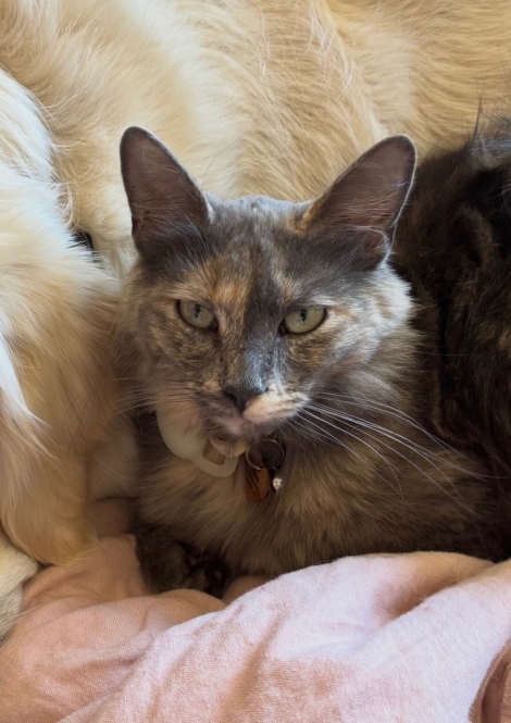 Luna 