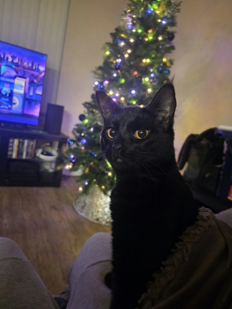 Matilda