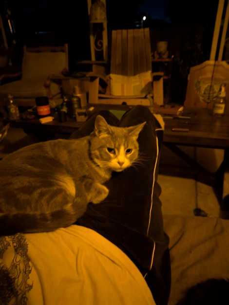 Smidge 