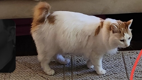 Azumie