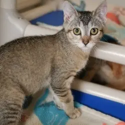 Photo of Anastasia