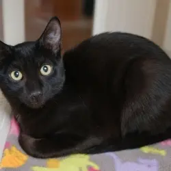Photo of Baker