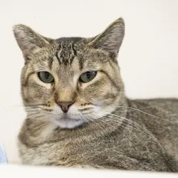 Photo of Bob