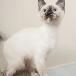 Photo of Bubbles