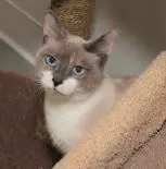 Photo of Calypso