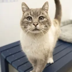 Photo of Chance