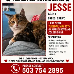 Photo of Jesse