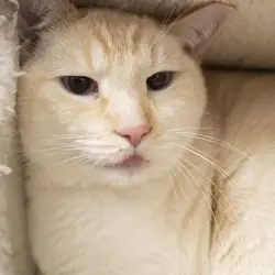 Photo of Cloud