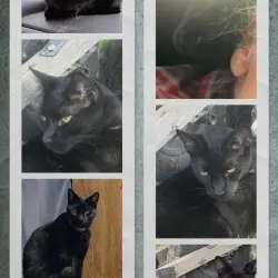 Photo of Spaz 