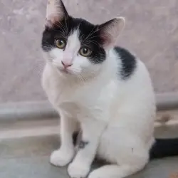 Photo of Dottie