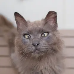 Photo of Edgar