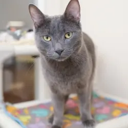 Photo of Ekko