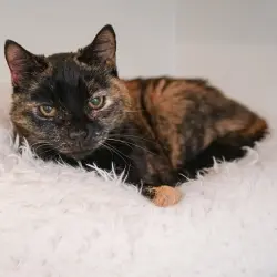 Photo of Emma