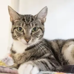 Photo of Ethel