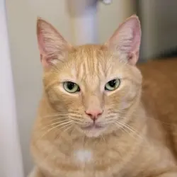 Photo of Gerald