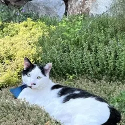Photo of Ernie