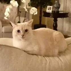 Photo of Fred