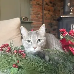 Photo of Elsie