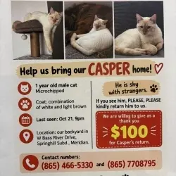 Photo of Casper