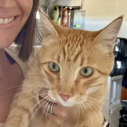 Photo of Chester 