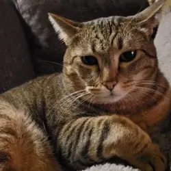 Photo of Arthur
