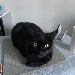 Photo of Max