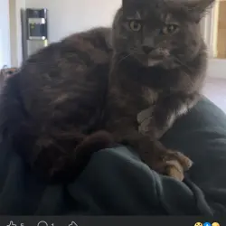 Photo of Sabrina