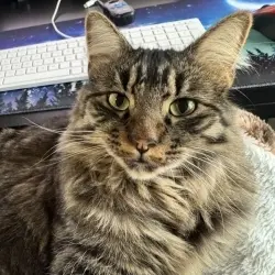 Photo of Rex
