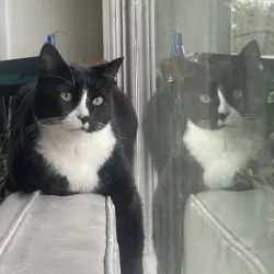 Photo of Schrödinger 