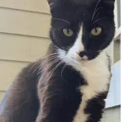 Photo of Schrödinger 