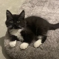 Photo of Viktor