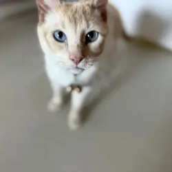 Photo of Zeus