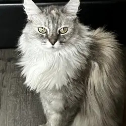 Photo of Sophie