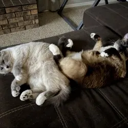 Photo of Penny and Maverick 
