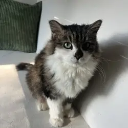 Photo of Margo