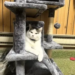 Photo of Magnolia (Mags)