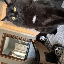 Photo of Simon “Sim” or “Simmy”