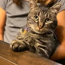 Photo of Charlie