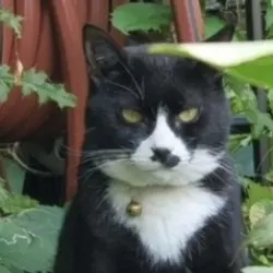 Photo of Daisy