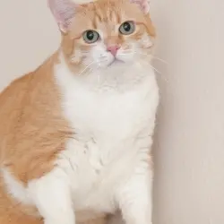 Photo of Kira
