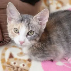 Photo of Lilah
