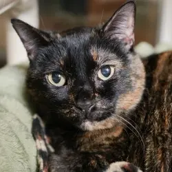 Photo of Lindy