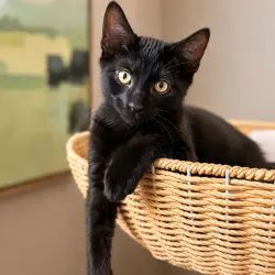 Photo of Logan