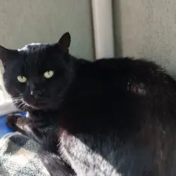 Photo of Luther