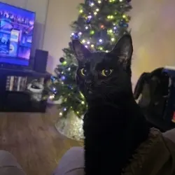 Photo of Matilda