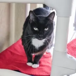 Photo of Mitty